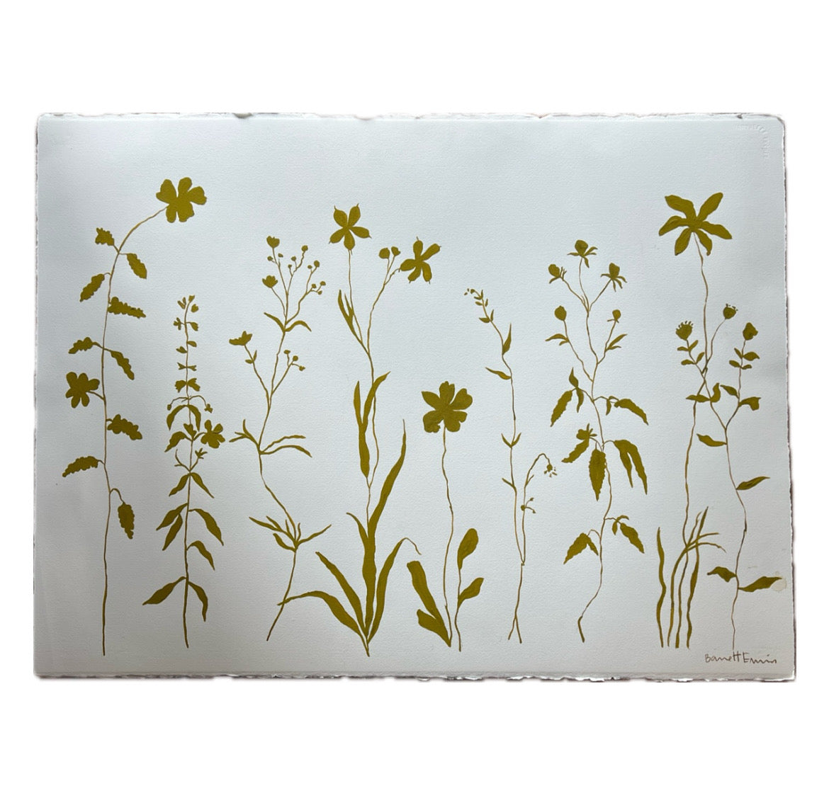 "Buttercup, Storybook Florals"