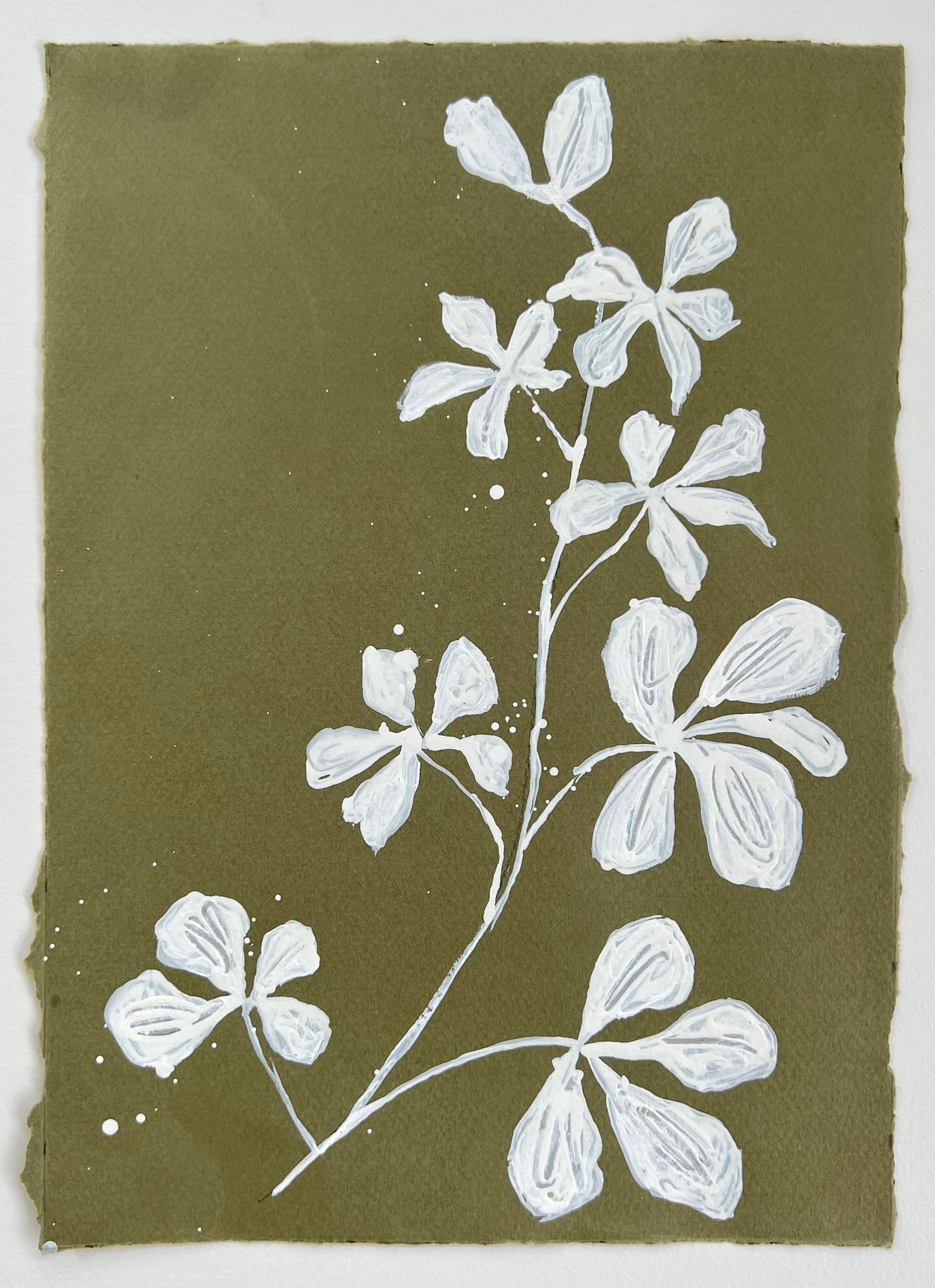 "Meadow Parsley"