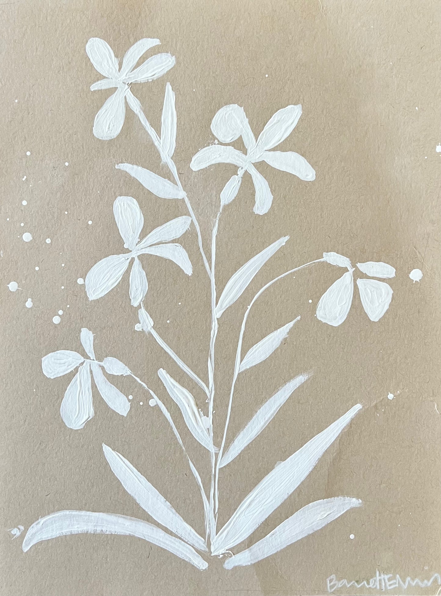 "Wall Lettuce Flower”