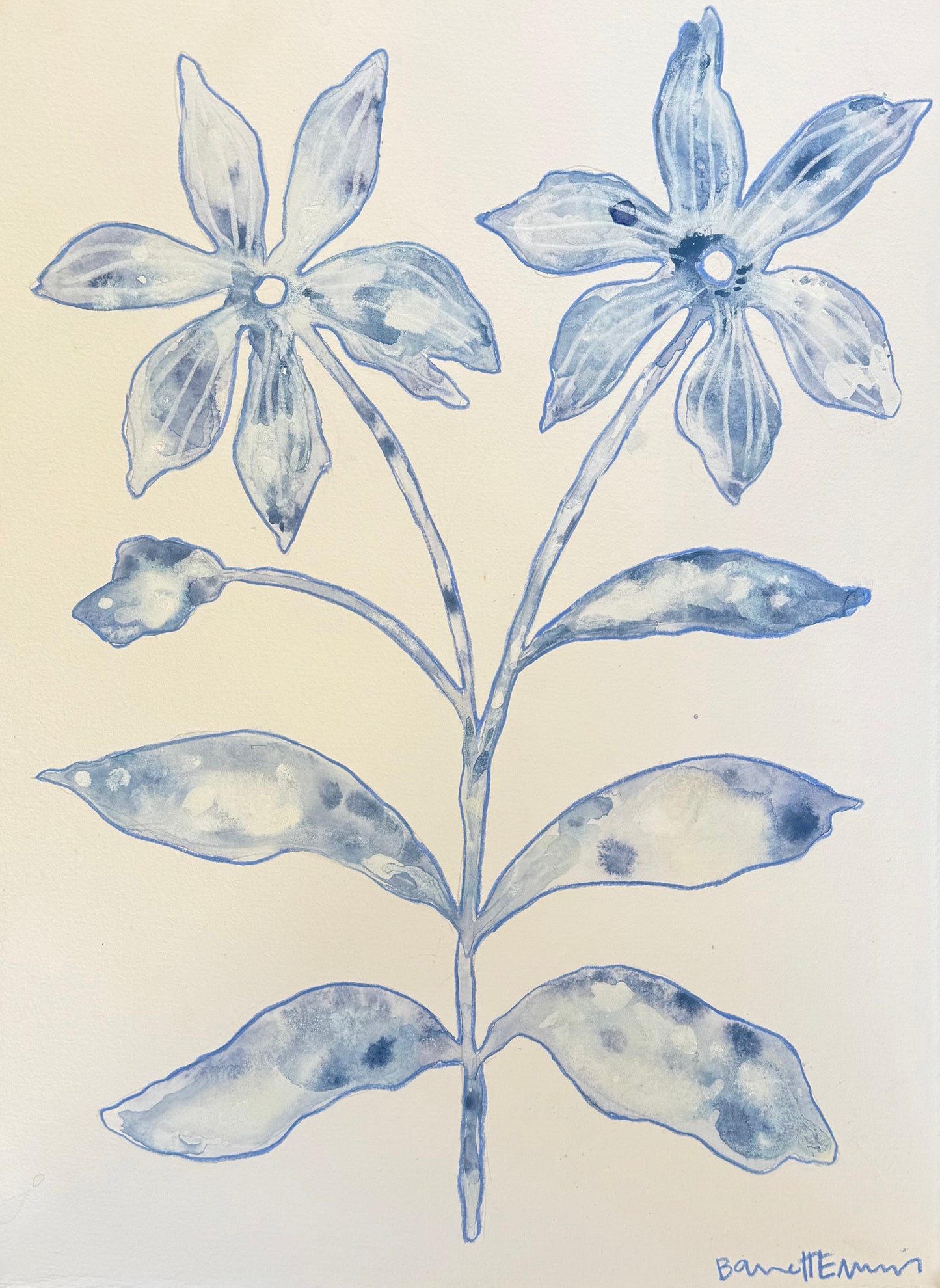 Moonbeam Lily - 11.5 x 15"