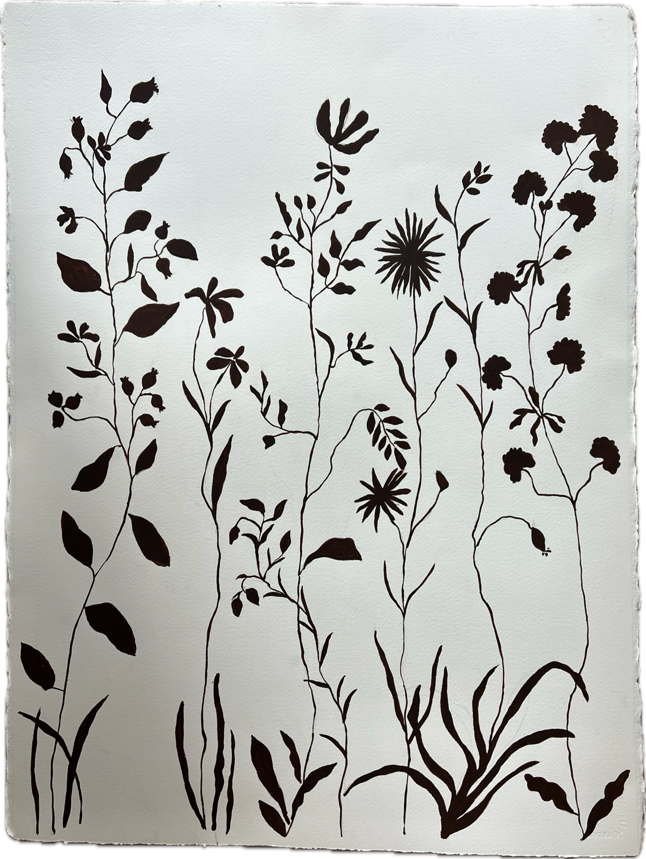 "Fairytale Florals"