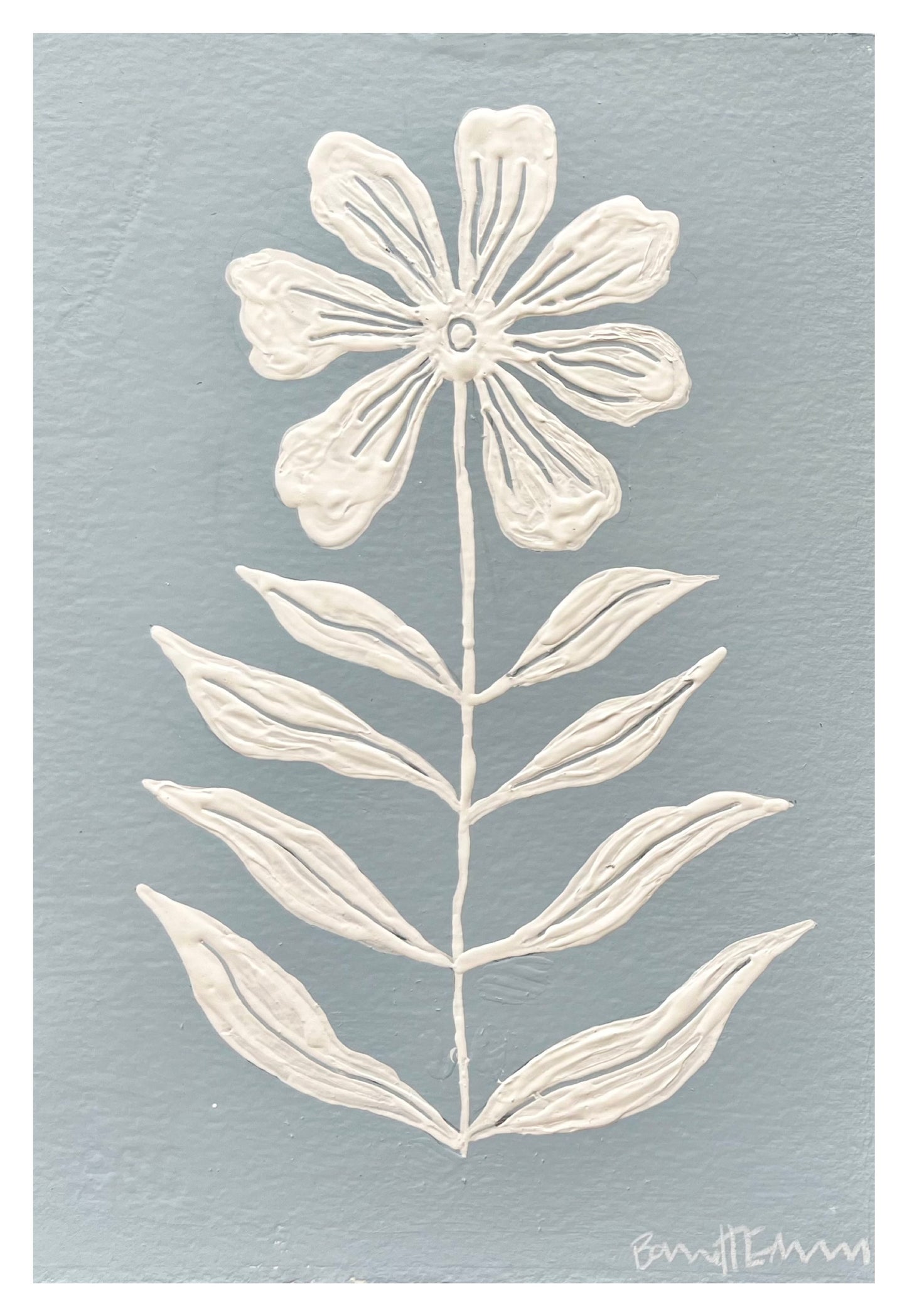 White Anemones - 7.5 x 11" SET