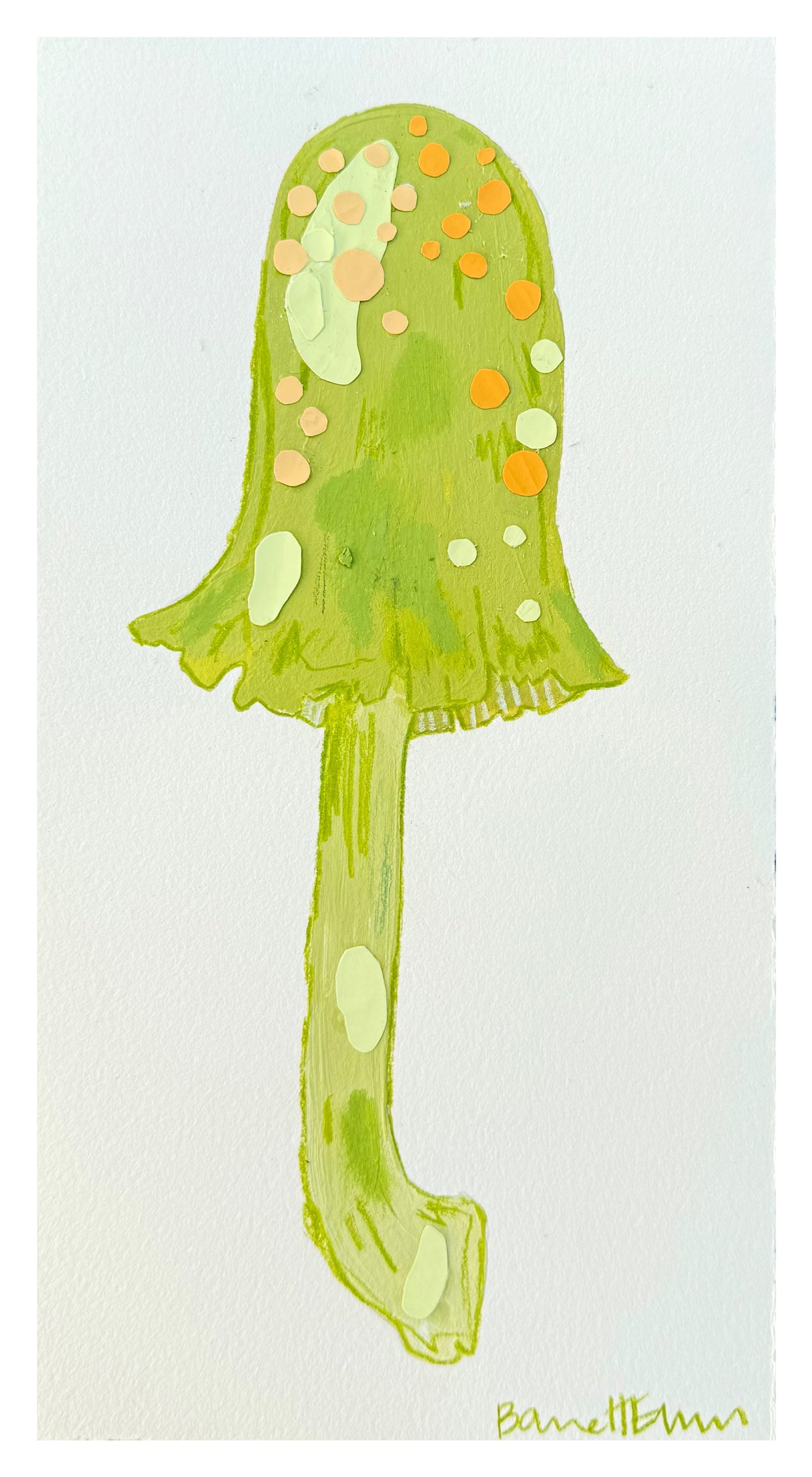 Lime Mushroom - 11 x 6"