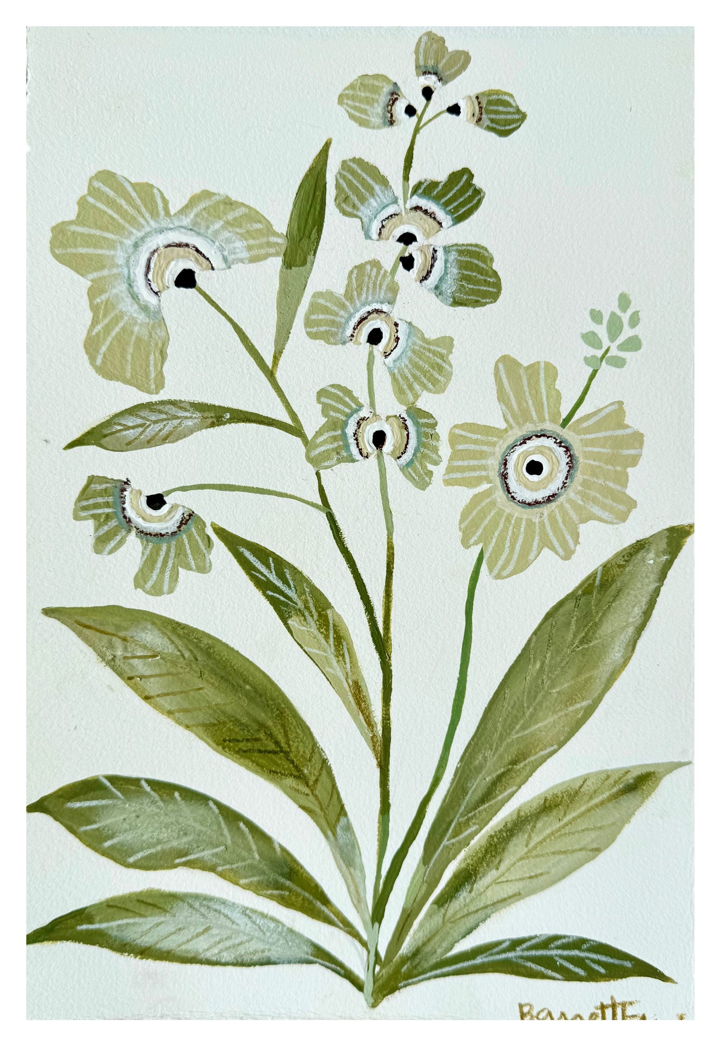 Light Hellebores - 11.5 x 7.5"