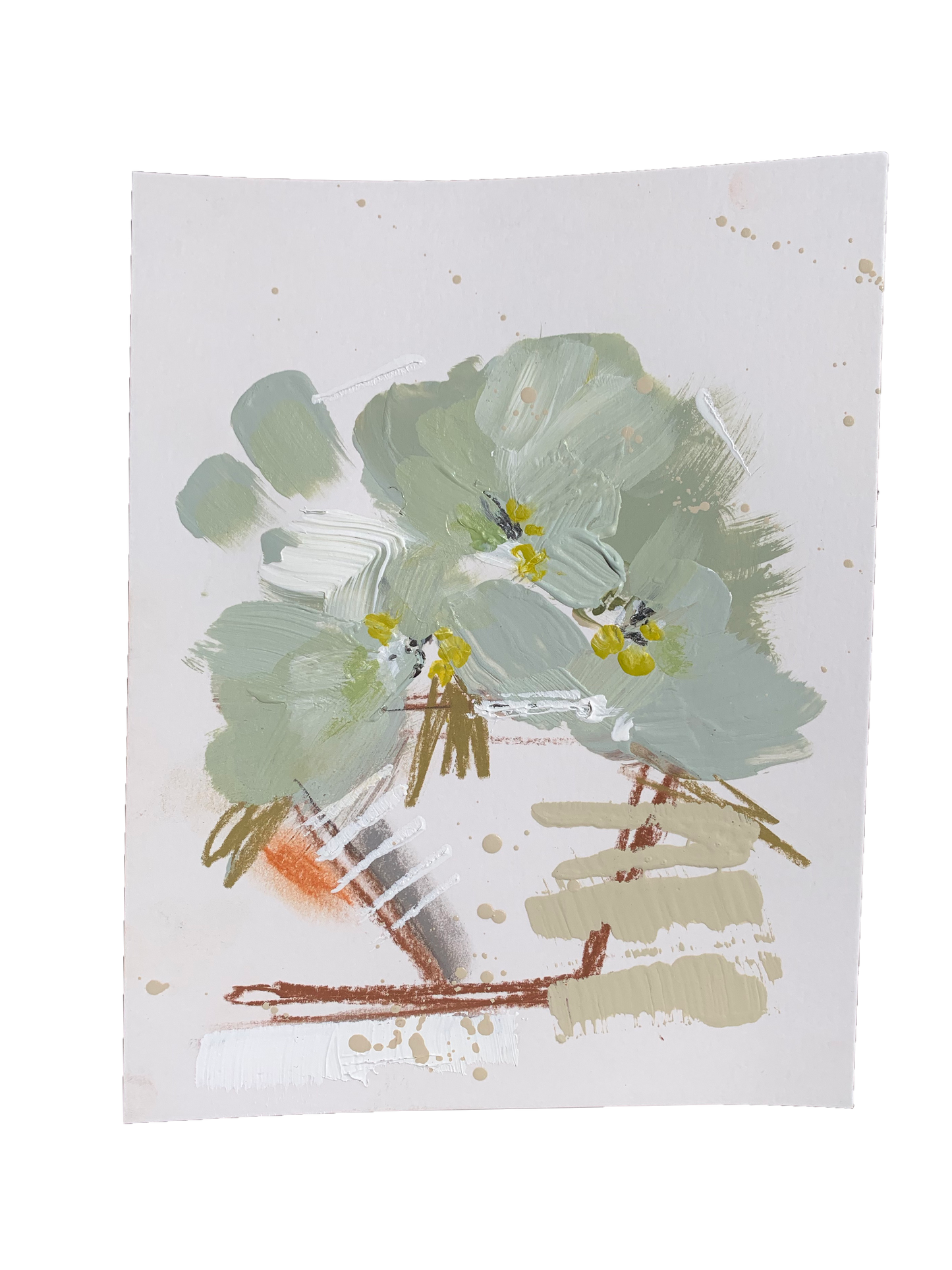 Flower Study #8