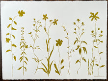Load image into Gallery viewer, &quot;Buttercup, Storybook Florals&quot;
