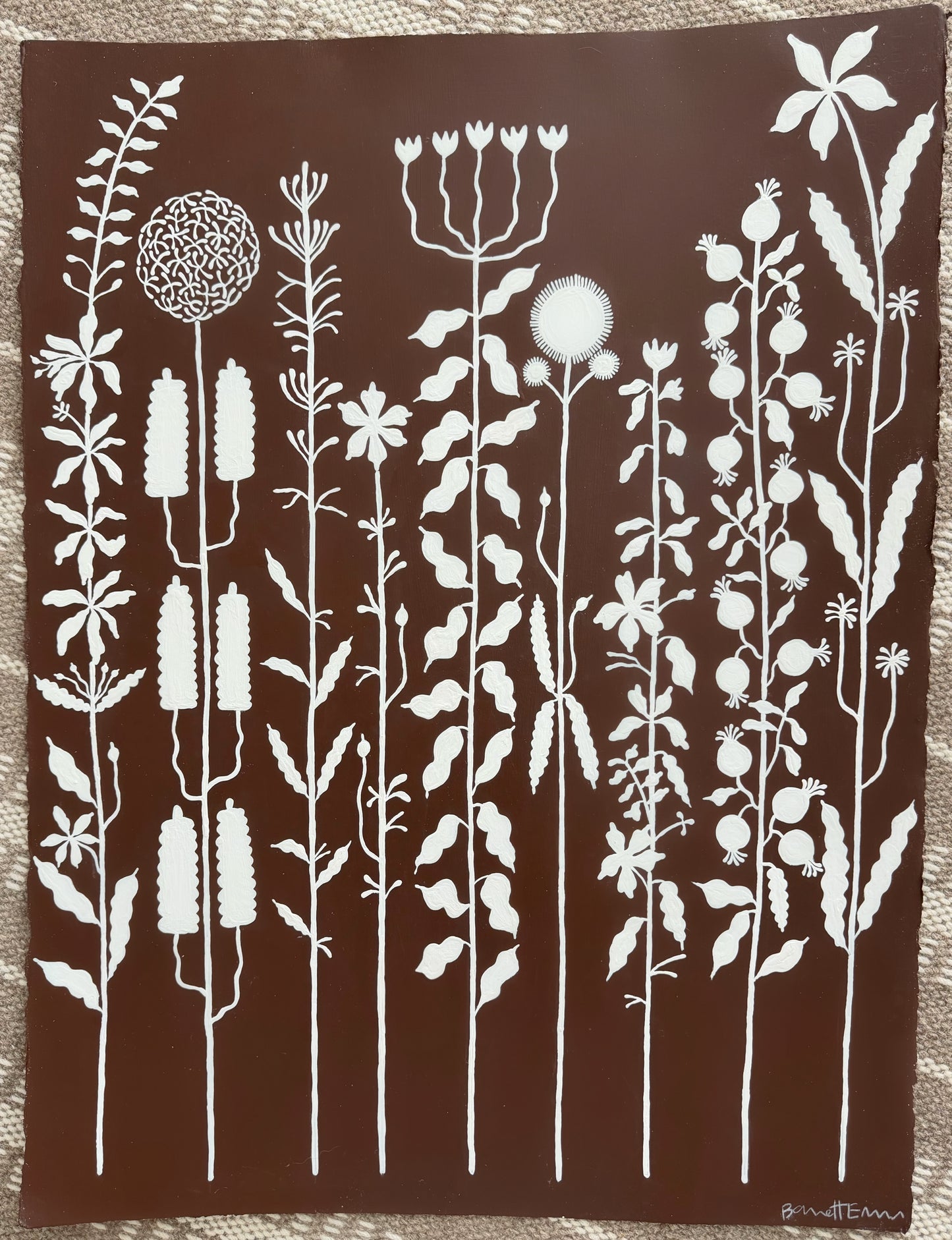 Chocolate Botanica
