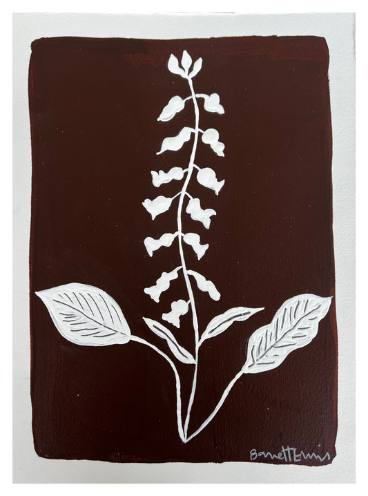 Foxglove II - 12 x 9"